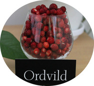 Ordvild ordvildlogo